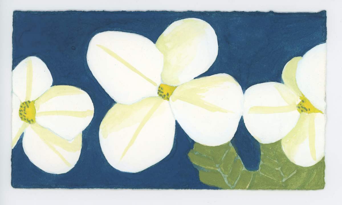 Hydrangeas, #1651, Image 1.