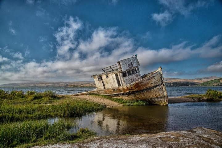 Point Reyes by Gittel Price 