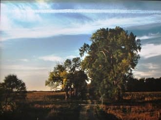 South of Albion, Boone County, NE by John Spence 