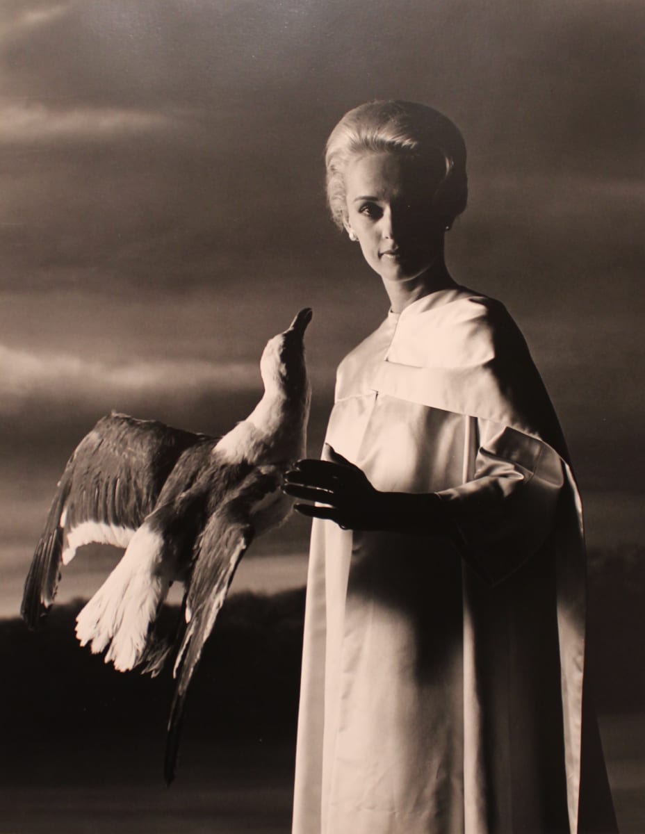 Tippi Hedren by Philippe Halsman 