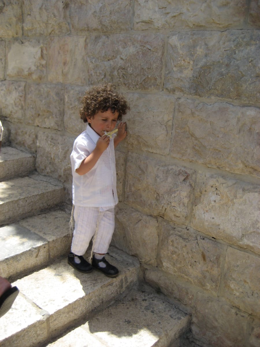 Life's Little Pleasures by Tina Sylvester 