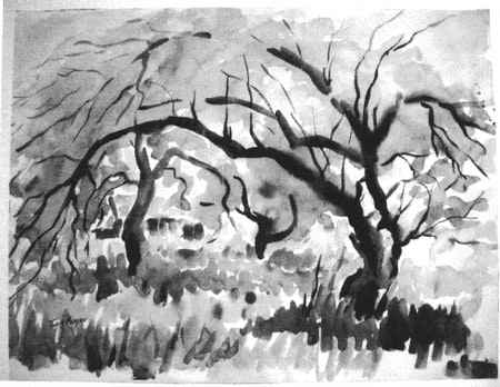 Wispy Shade Trees, Image 1.