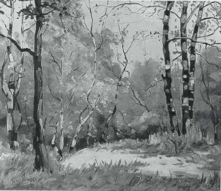In the Forest by Tunis Ponsen, Image 1.