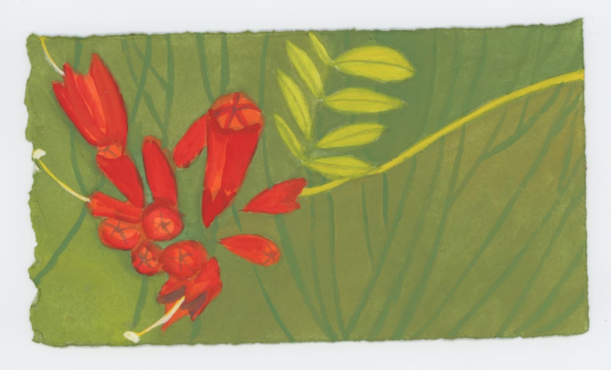 Trumpet Vine, #1666 by Raya Bodnarchuk, Image 1.