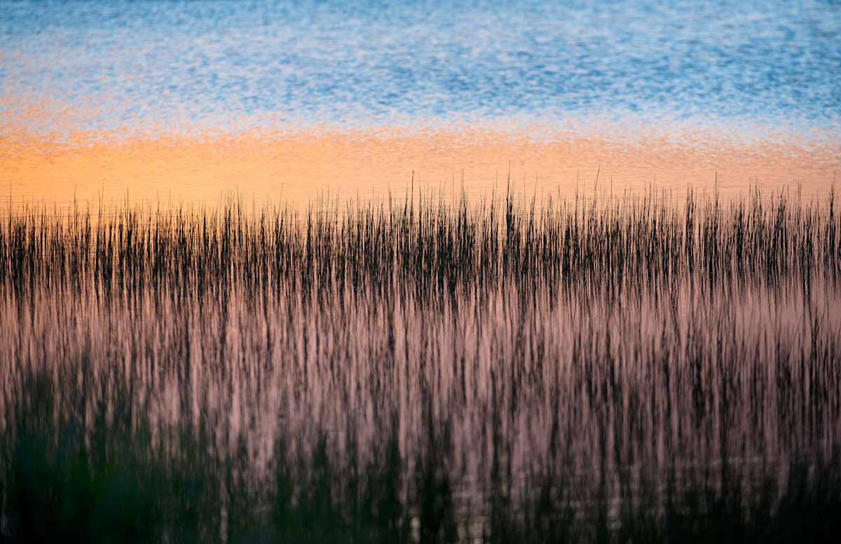 Gull Point Sticks at Dawn by Alexandra Nemeth, Image 1.