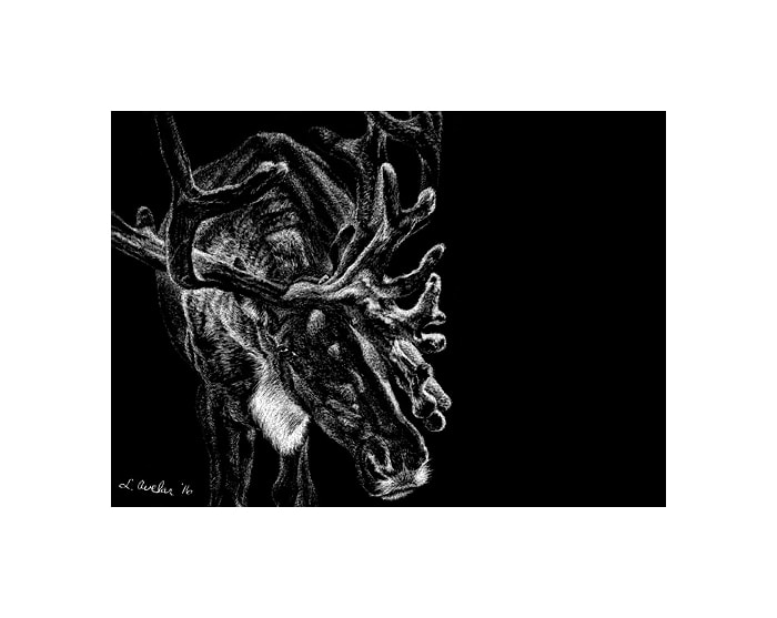 Full Velvet by Lonetta Avelar, Image 1.