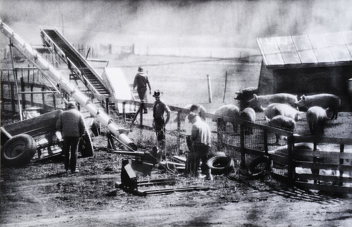 Dumont Farm, Iowa by Stephen Shames 