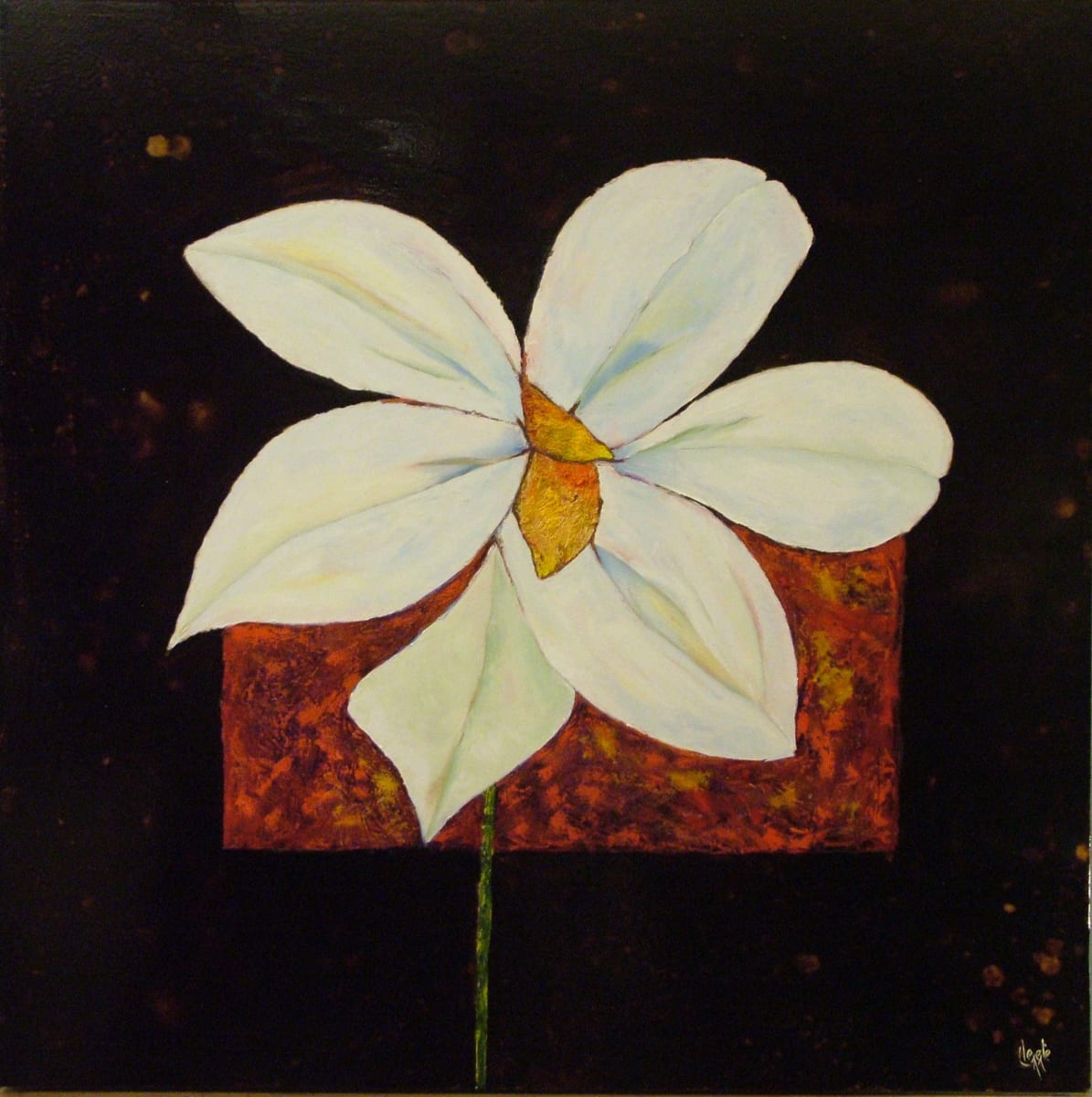 Black & White by Clemente Mimun 