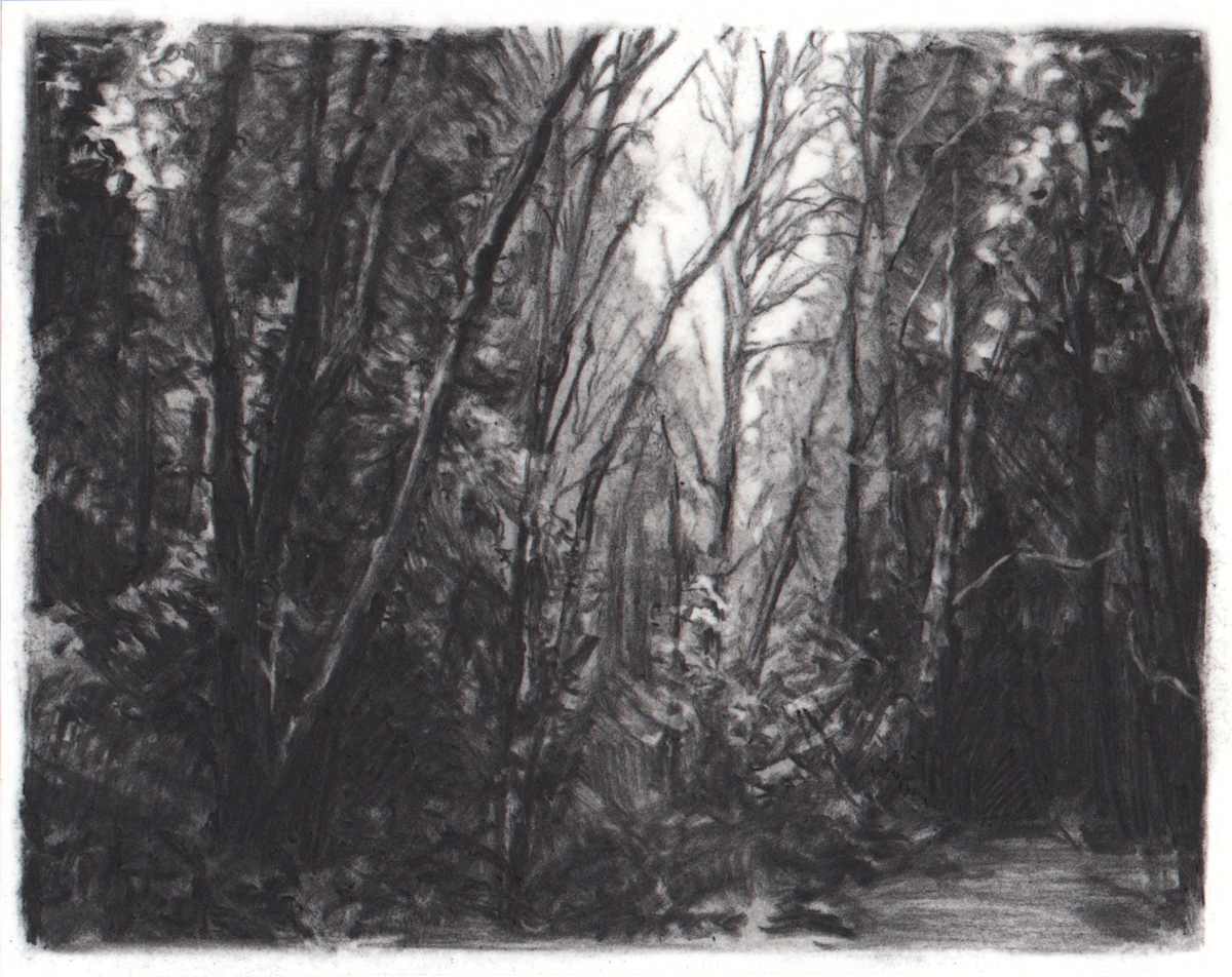 Coming Night by Robin Cole, Image 1.