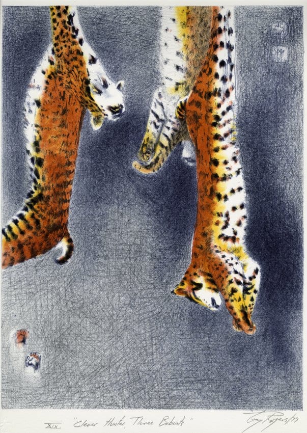 Clever Hunter, Three Bobcats by Gay Rogers 