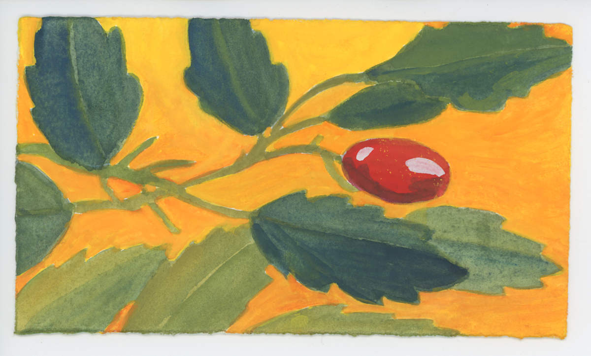 Acuba, One Fruit, #1613, Image 1.