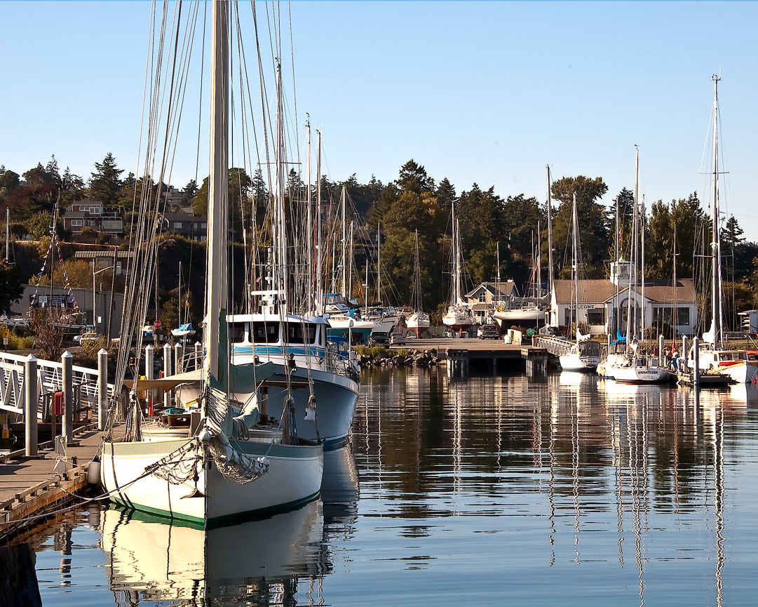 Seeking Safe Harbor by Ann Holmes, Image 1.