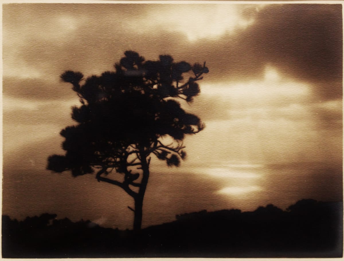 Pictorialist by Leopold Hugo 