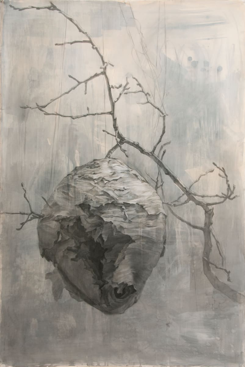 Home by Robin Cole, Image 1.