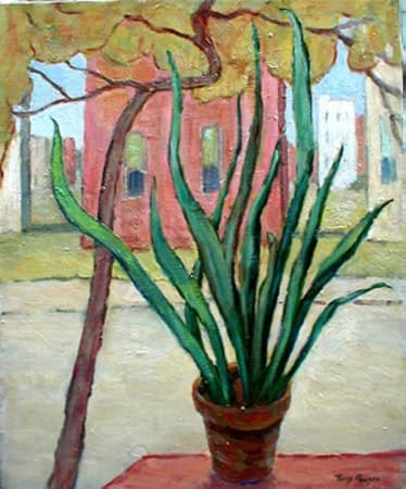 Sansavieria before Window by Tunis Ponsen, Image 1.