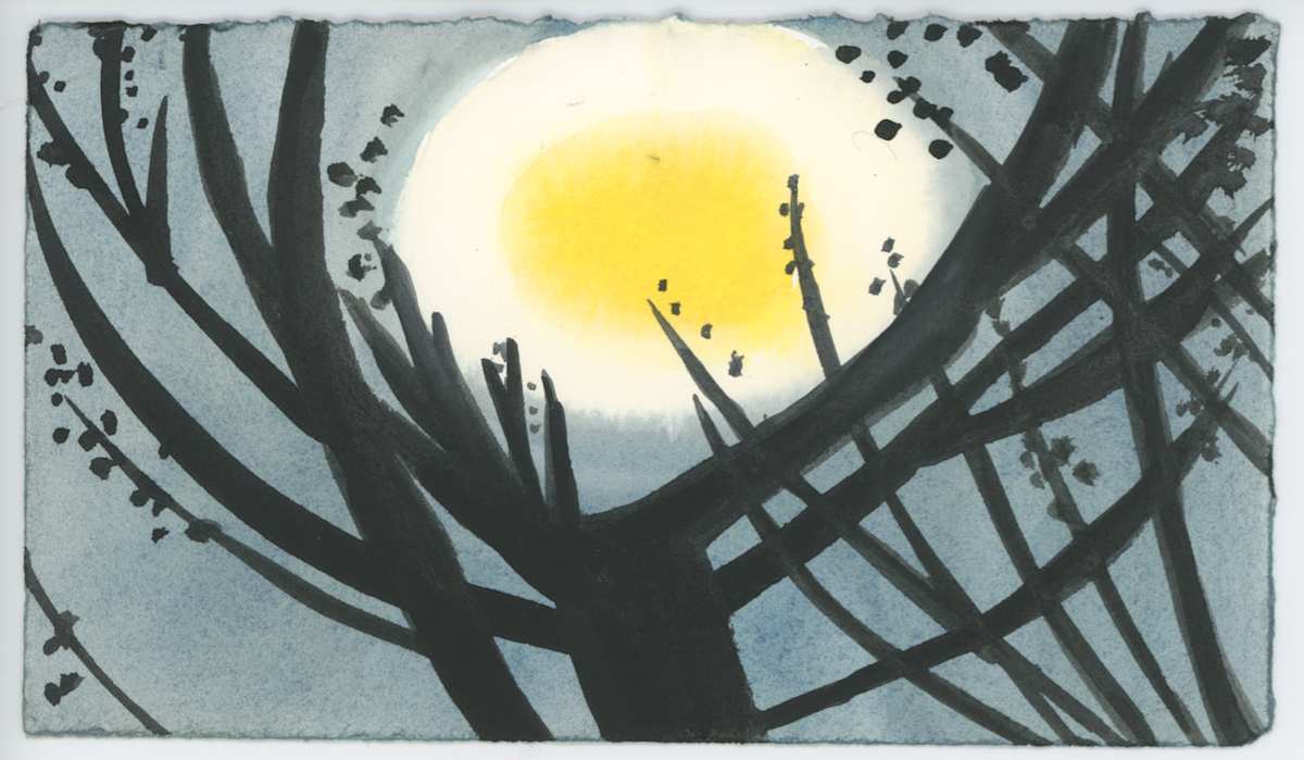 The Night Before the Full Moon, #1553, Image 1.