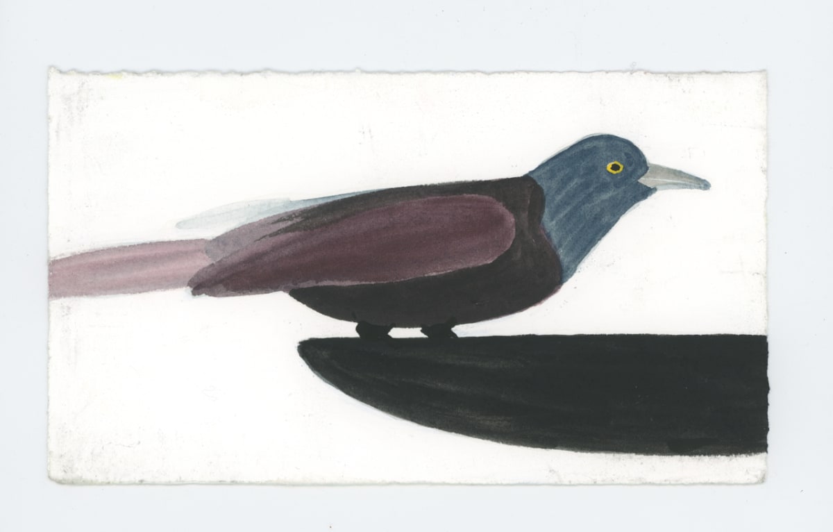 A Grackle, #1908 