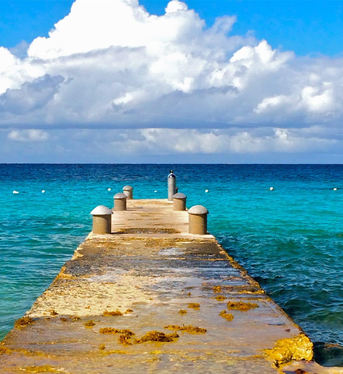Island Pier by Julie Peterson, Image 1.
