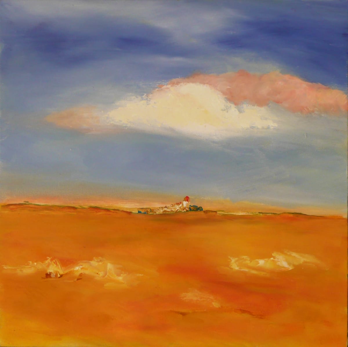 L214 by Clemente Mimun 