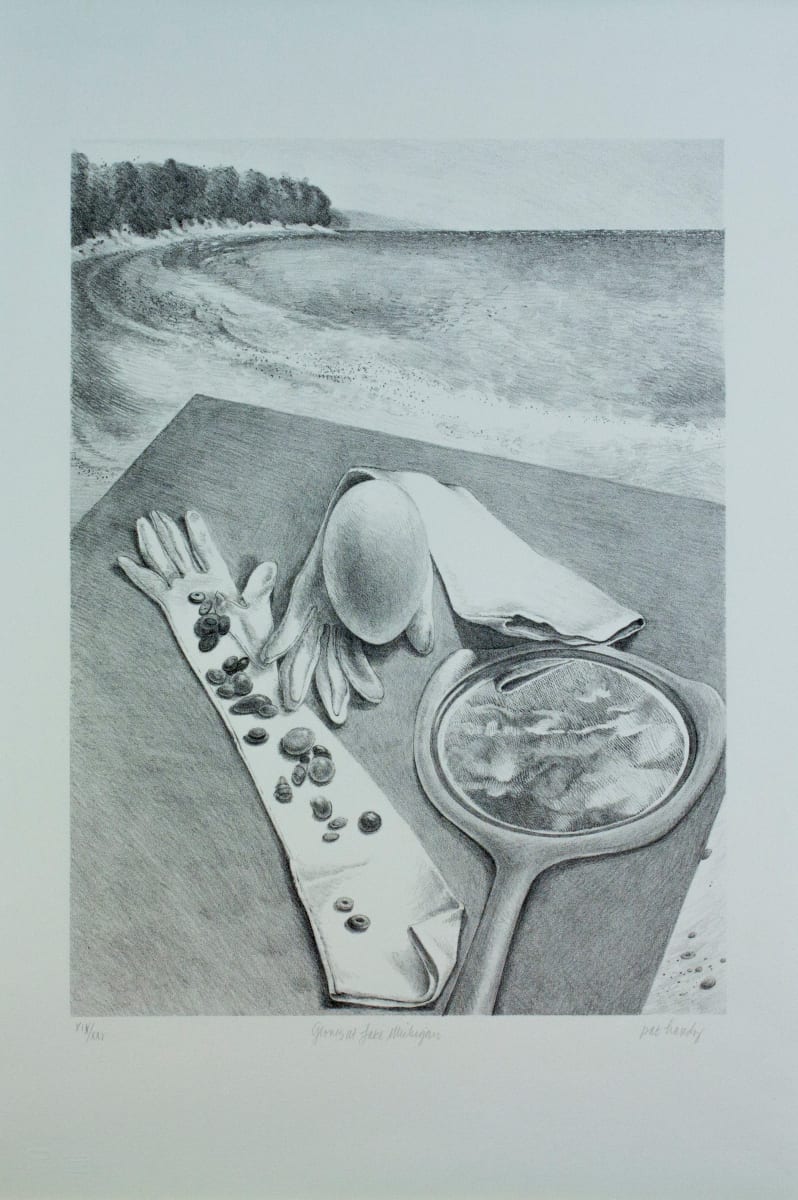 Gloves at Lake Michigan by Pat Hardy, Image 1.