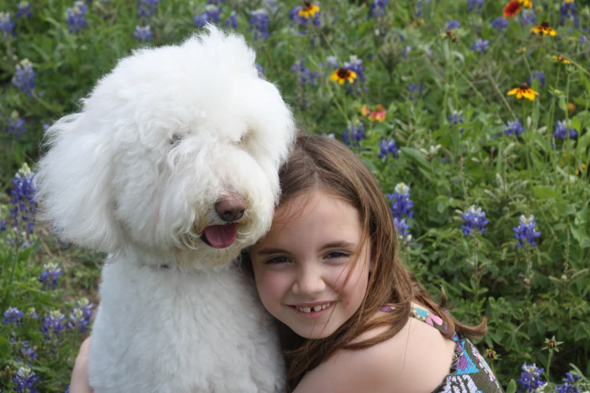 BeBe and Maddy by Vivian Rose 