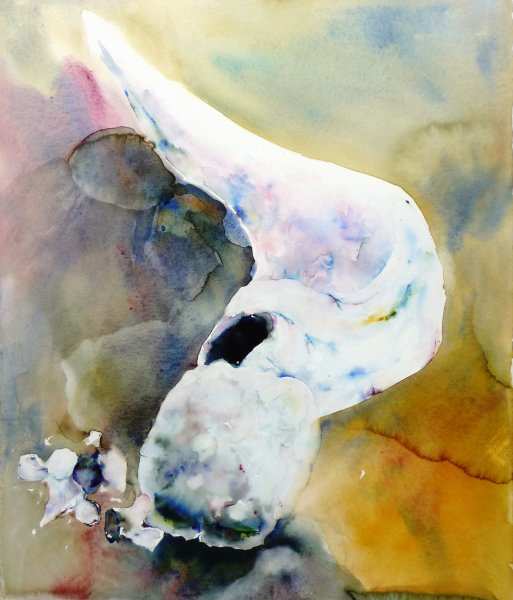 Whale Bones, Antarctica, #30 by Lisa Goren, Image 1.