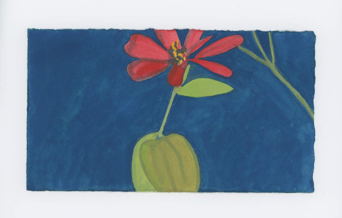 Red Night Zinnia, #1794, Image 1.