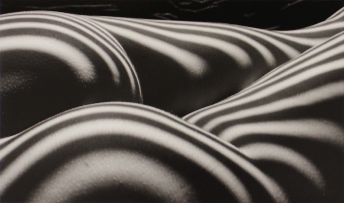 Zebra Nude, New York, 1997, from Nu Zèbre series by Lucien Clergue 