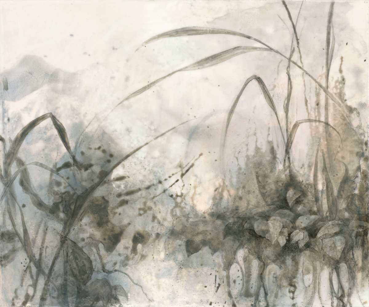 Afterglow by Robin Cole, Image 1.