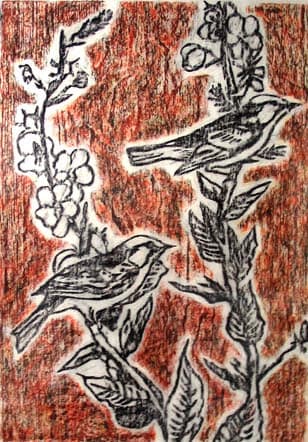 Chestnut Sided Warbler: Declining Bird Species Series by Tim Hunter, Image 1.