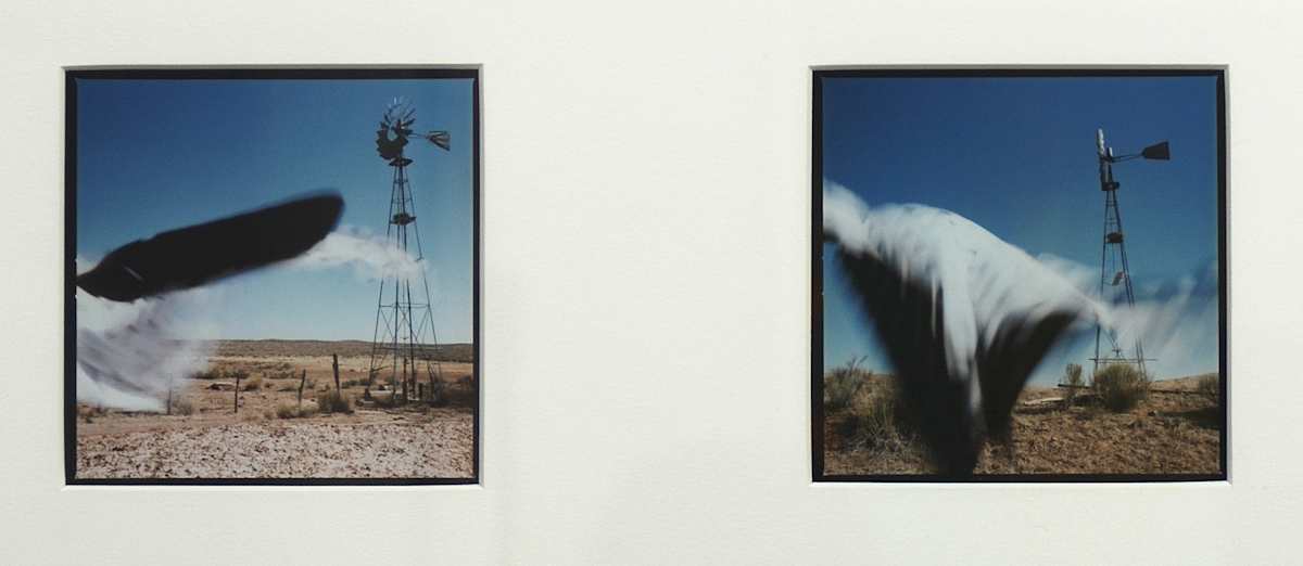 Untitled by Susan Moldenhauer, Image 1.