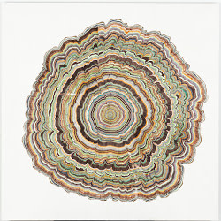 162 Years by Steven Anderson 