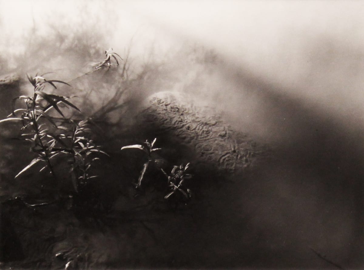 Ancient Calligraphy by Jack Kapsa, Image 1.