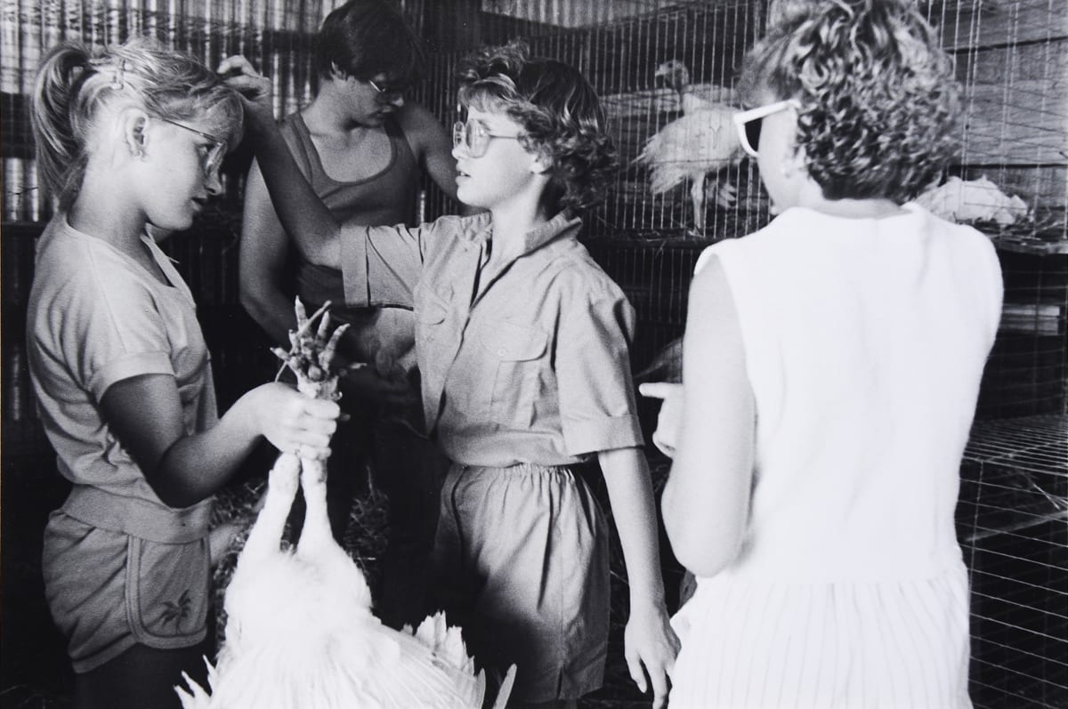 Girls and Chicken, --- Fair, Goodhue County, Minnesota by Stephen Dahl 