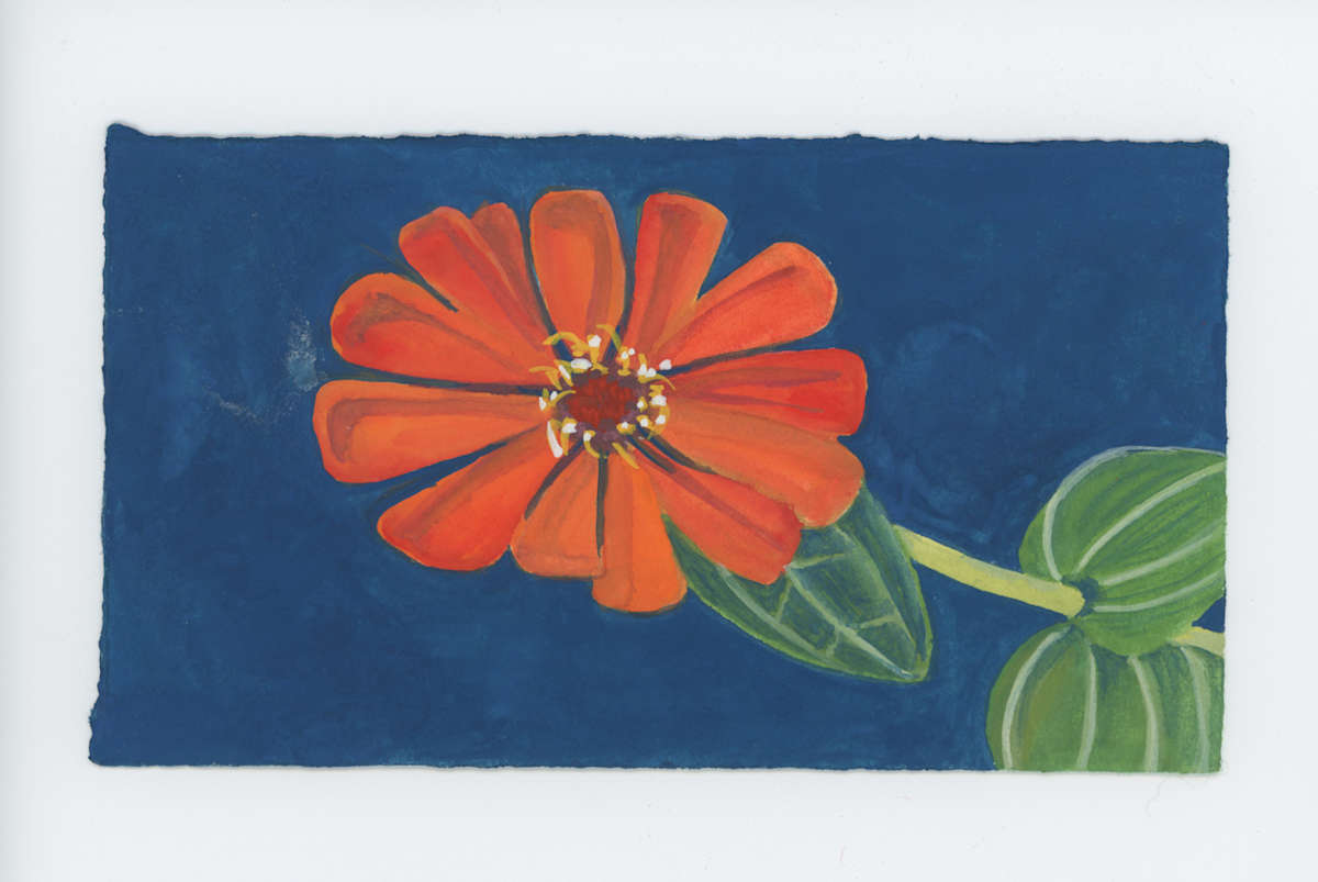 Still Bright, #1799, Image 1.