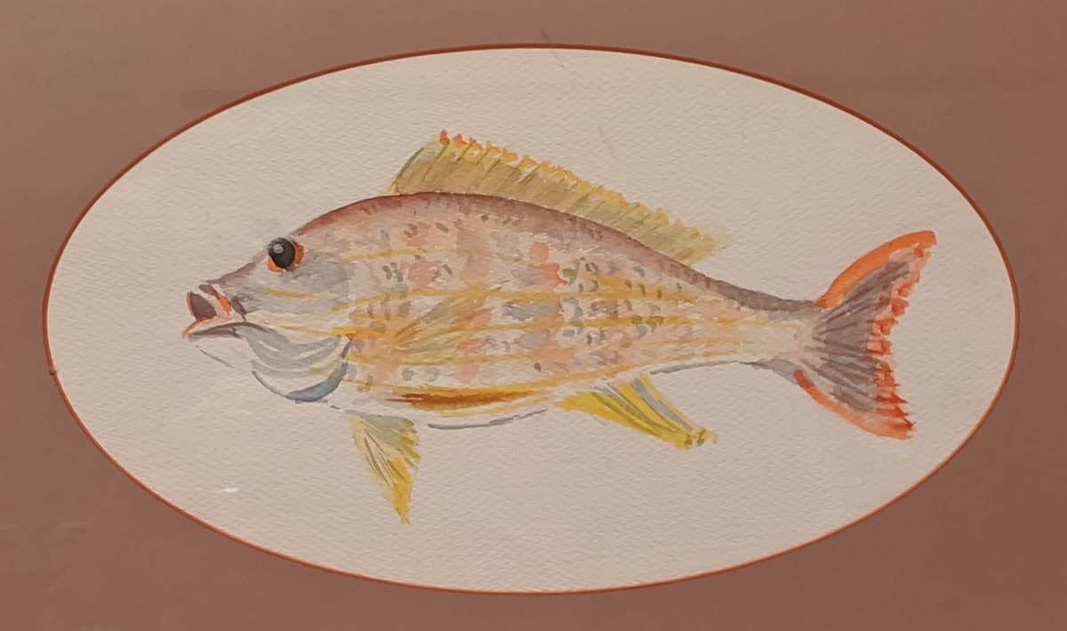 Acapulco Fish* by Theckla Constable 