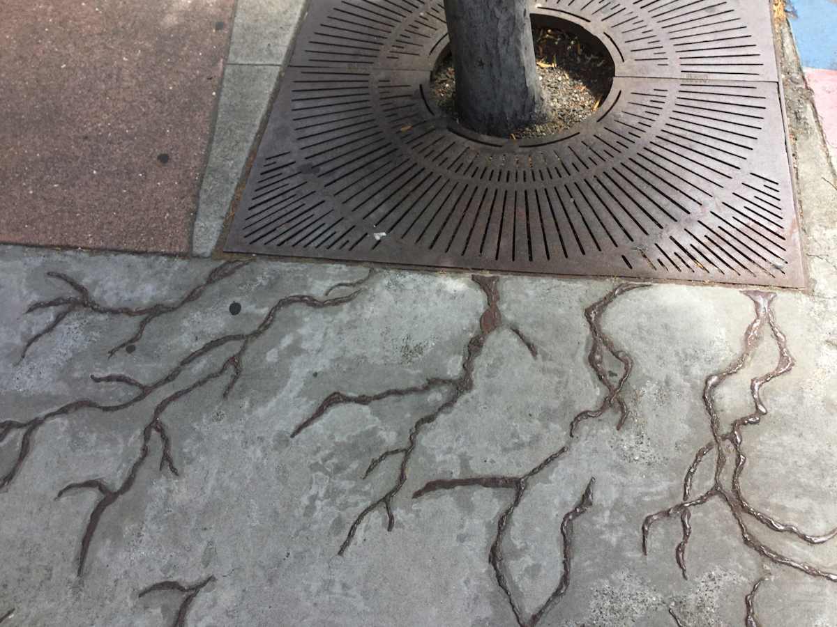 Tree Roots (North) by Rebecca A. Schwarz, Image 1.