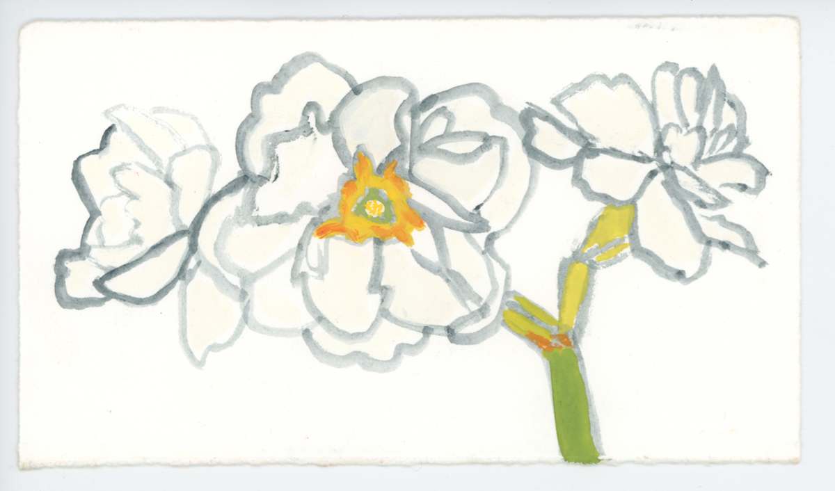 Jonquils, #1605, Image 1.