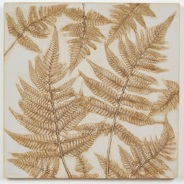 Woodland Ferns by Dianne Cutler 