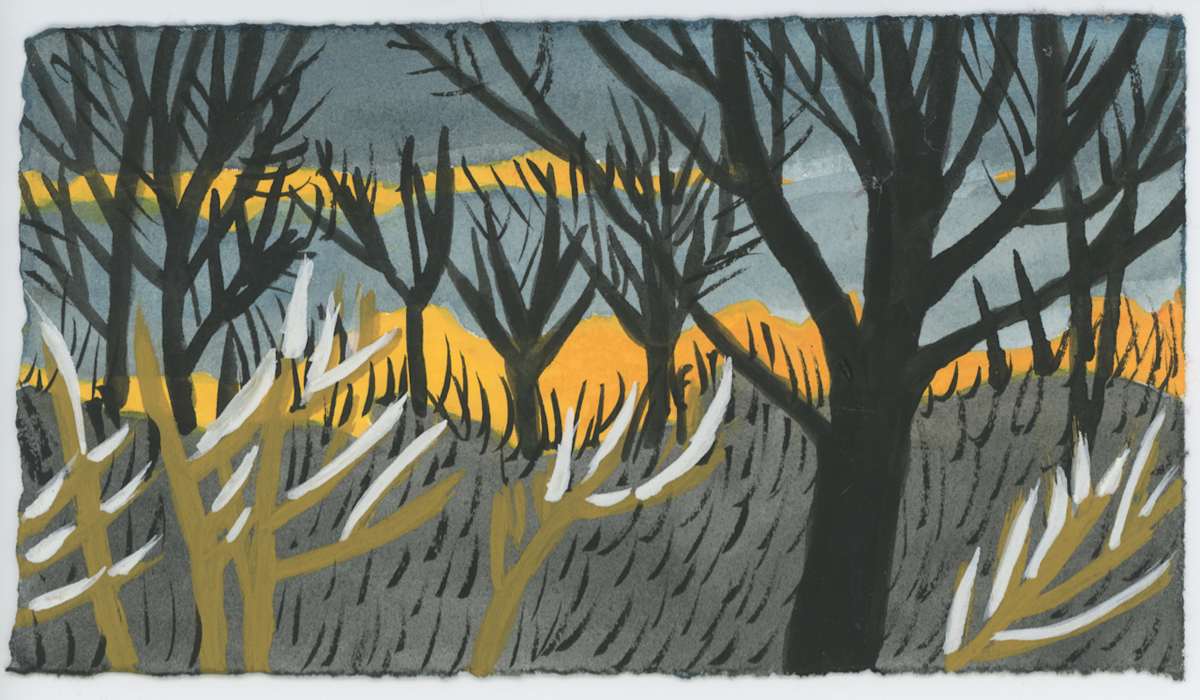 Some Glowing Branches, #1560, Image 1.