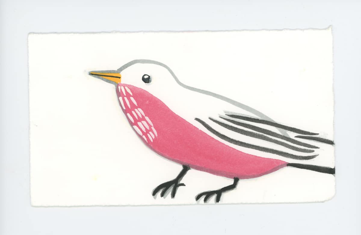 The Robin, #1763, Image 1.