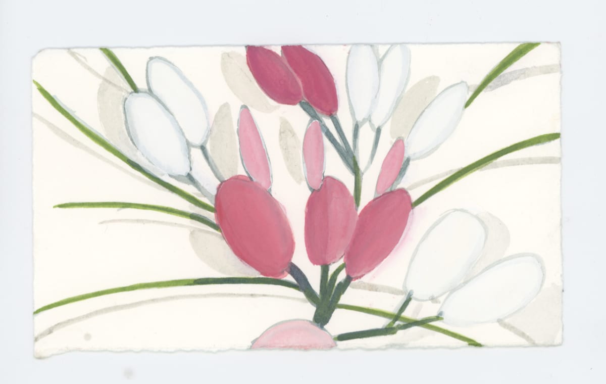 Cleome, #1728 by Raya Bodnarchuk 