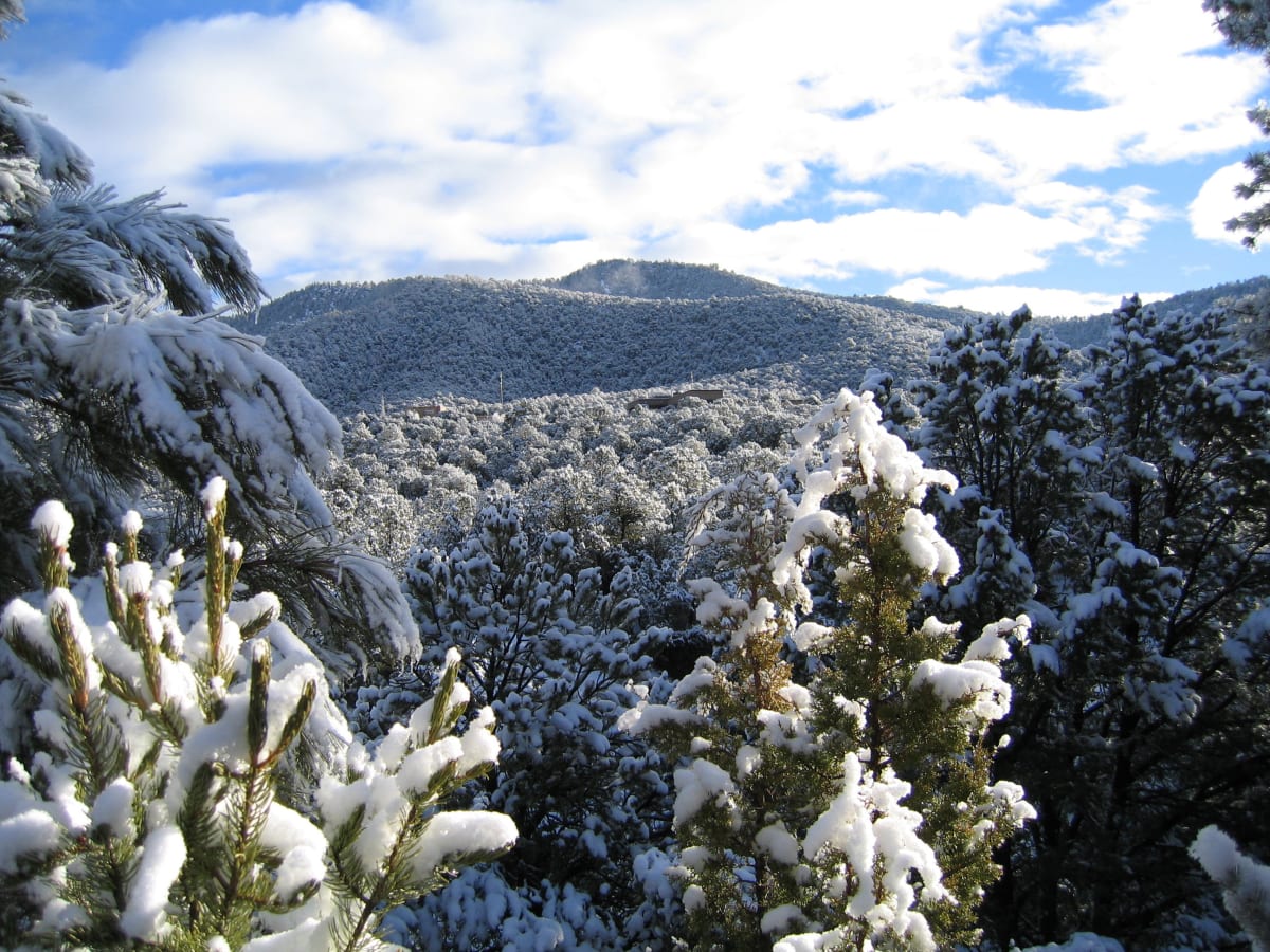 Winter by Robert G. Grossman, MD 