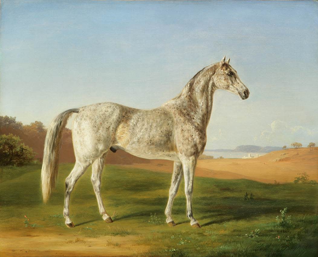 Horace Terry’s Spotted Arabian by Henri DeLattre 