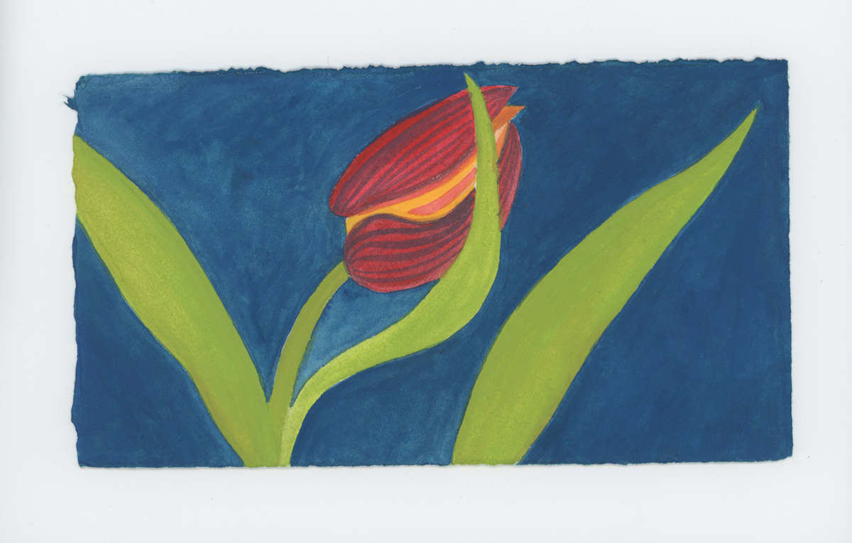 A Tulip, #1786, Image 1.