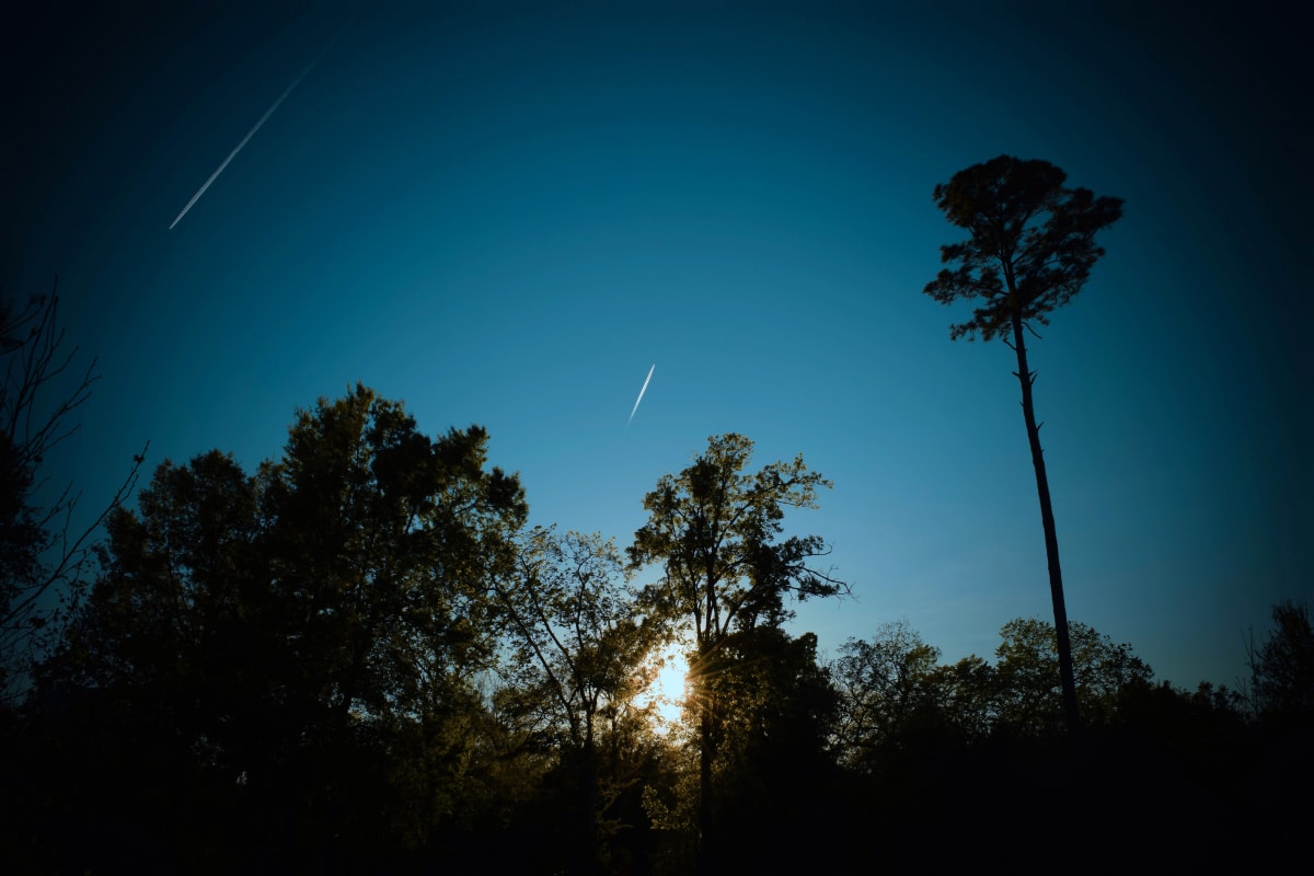 Texas Country Sunset by Adrianne Hirka, RN 