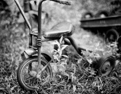 Take a Walk with Me #4 ( Bike) by Kaneesha Brownlee 