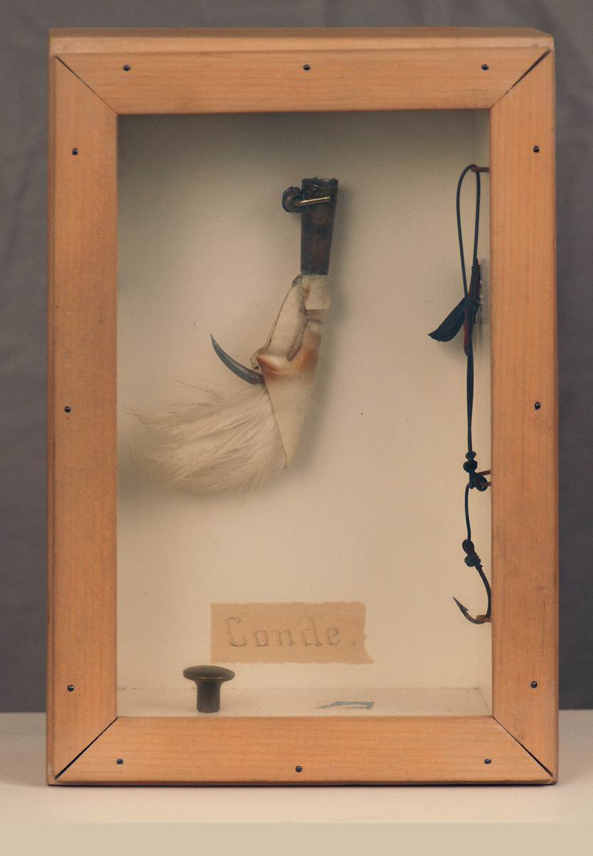 Conde by Thomas Freund, Image 1.