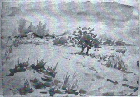 Snowy Field by Tunis Ponsen, Image 1.