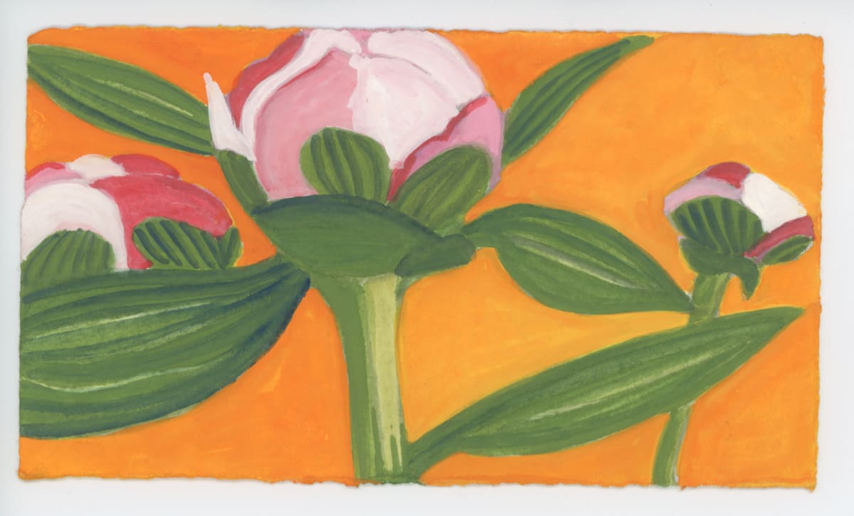 Peony Buds at Susan's Yard, #1622 by Raya Bodnarchuk, Image 1.